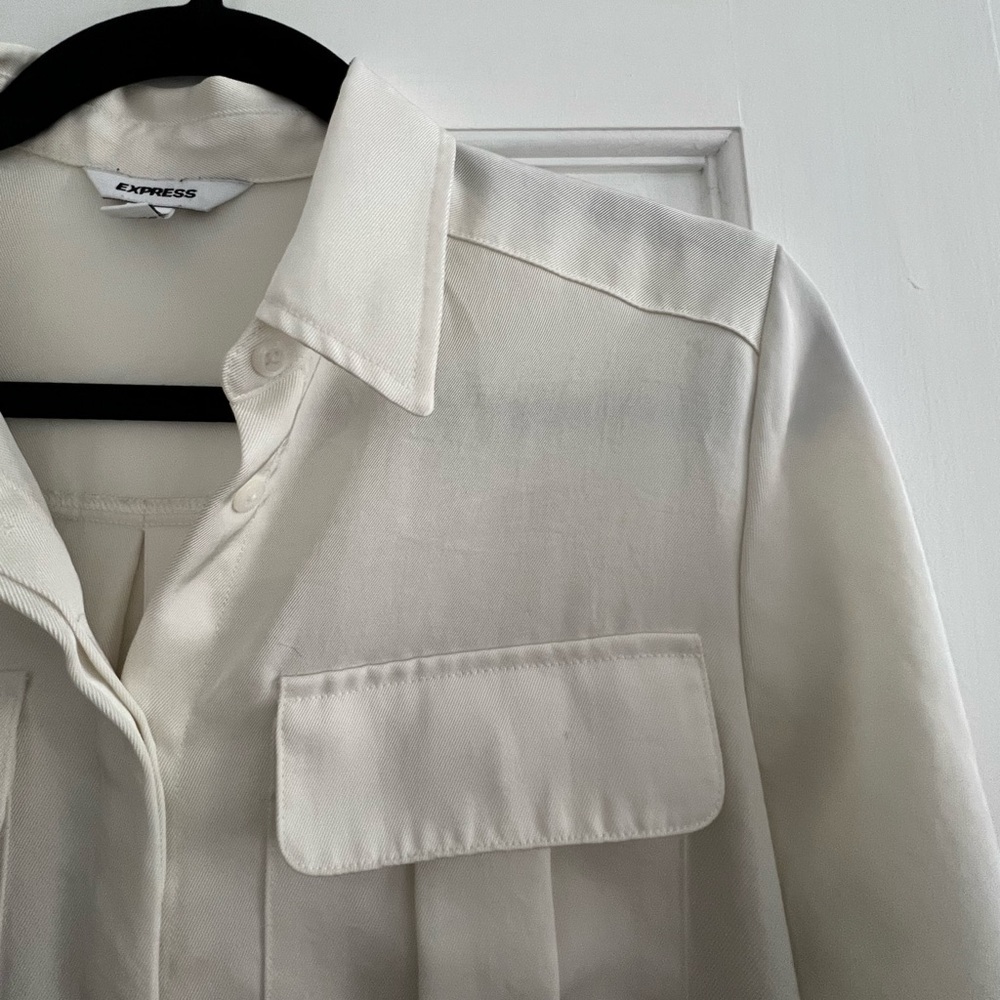 Express Button Down - image 3